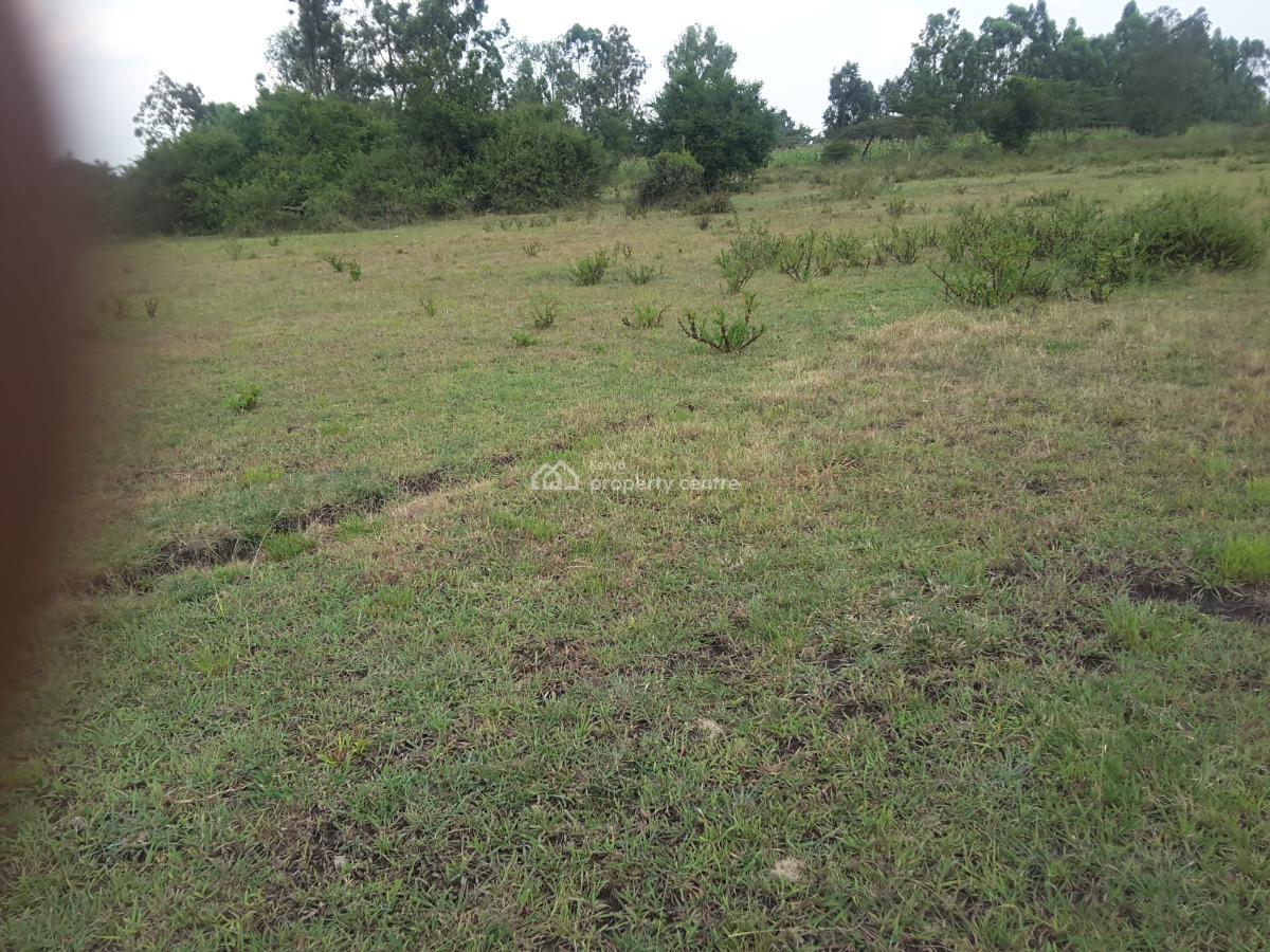 Very Beautiful 2 Acre Land, Mericho Rd, Ongata Rongai, Kajiado, Residential Land for Sale
