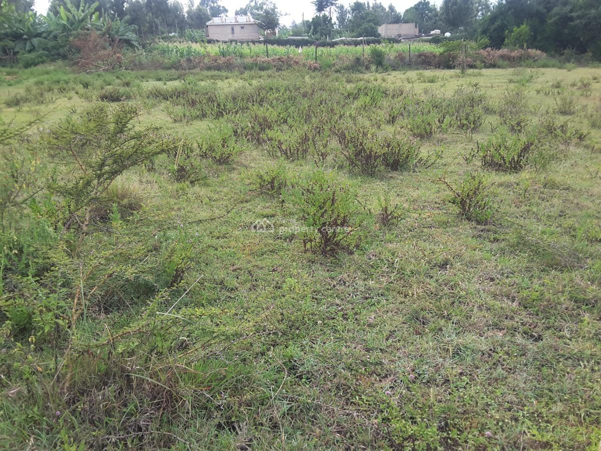 Very Beautiful 2 Acre Land, Mericho Rd, Ongata Rongai, Kajiado, Residential Land for Sale