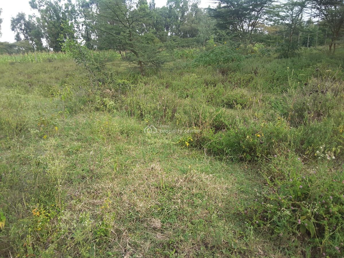Very Beautiful 2 Acre Land, Mericho Rd, Ongata Rongai, Kajiado, Residential Land for Sale