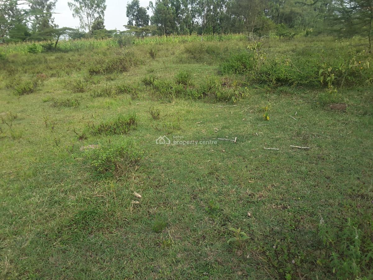 Very Beautiful 2 Acre Land, Mericho Rd, Ongata Rongai, Kajiado, Residential Land for Sale