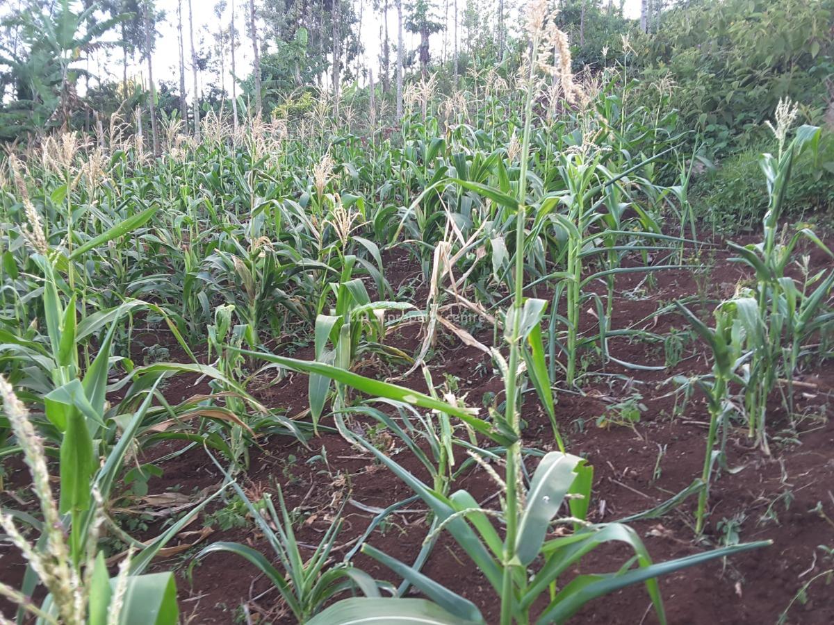 Lovely One Eighth Residential Plots, Ngong, Kajiado, Residential Land for Sale
