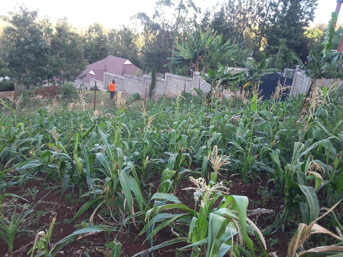 Lovely One Eighth Residential Plots, Ngong, Kajiado, Residential Land for Sale
