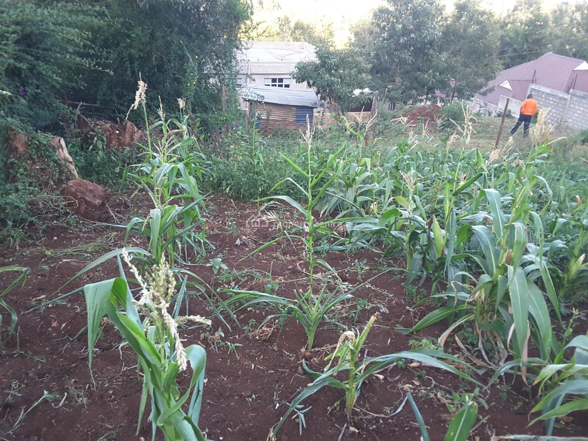 Lovely One Eighth Residential Plots, Ngong, Kajiado, Residential Land for Sale