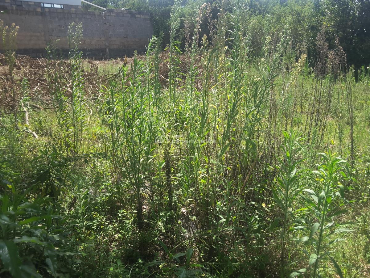 Stunning One Eighth Plots, Mericho Rd, Ongata Rongai, Kajiado, Residential Land for Sale