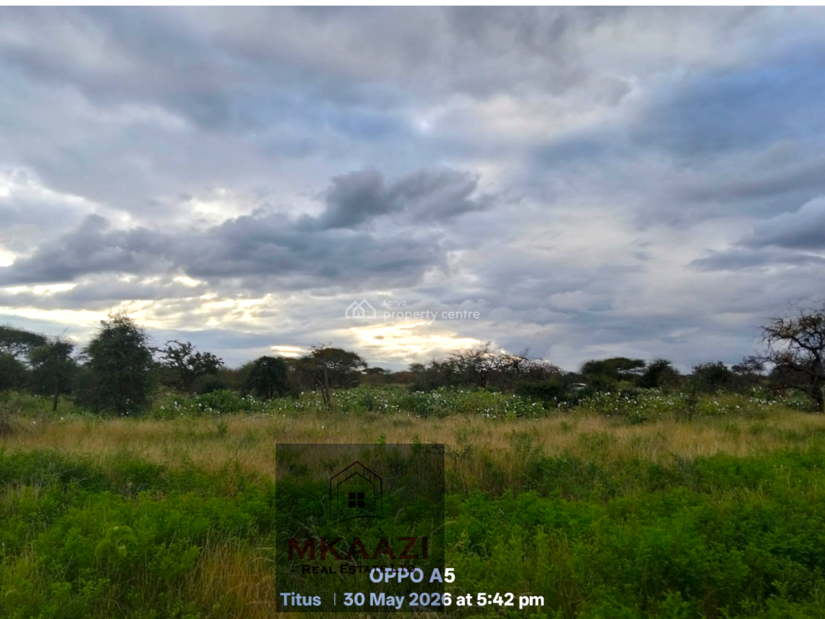 42-acres Freehold Land in Eselenkei, Kajiado South, Eselenkei, Mbirikani/eselenkei, Kajiado, Land for Sale