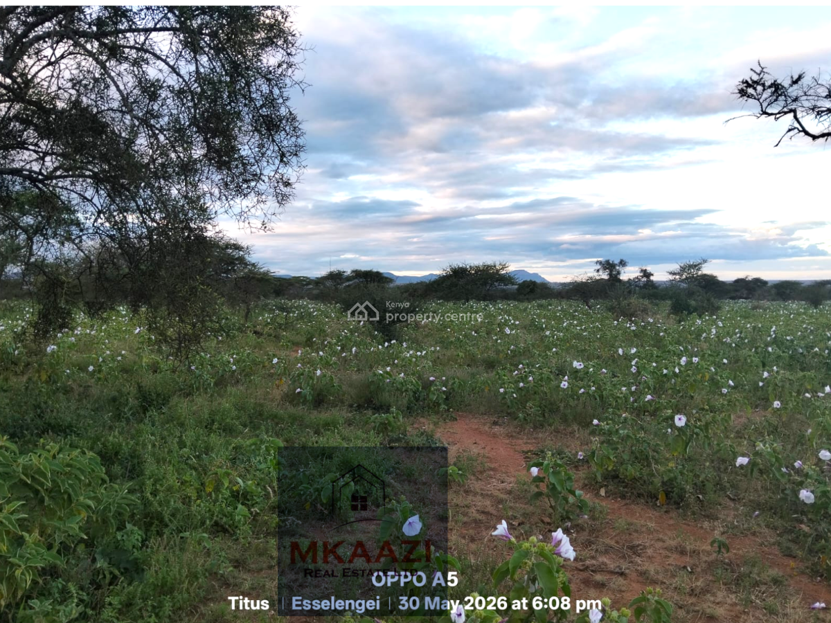 42-acres Freehold Land in Eselenkei, Kajiado South, Eselenkei, Mbirikani/eselenkei, Kajiado, Land for Sale