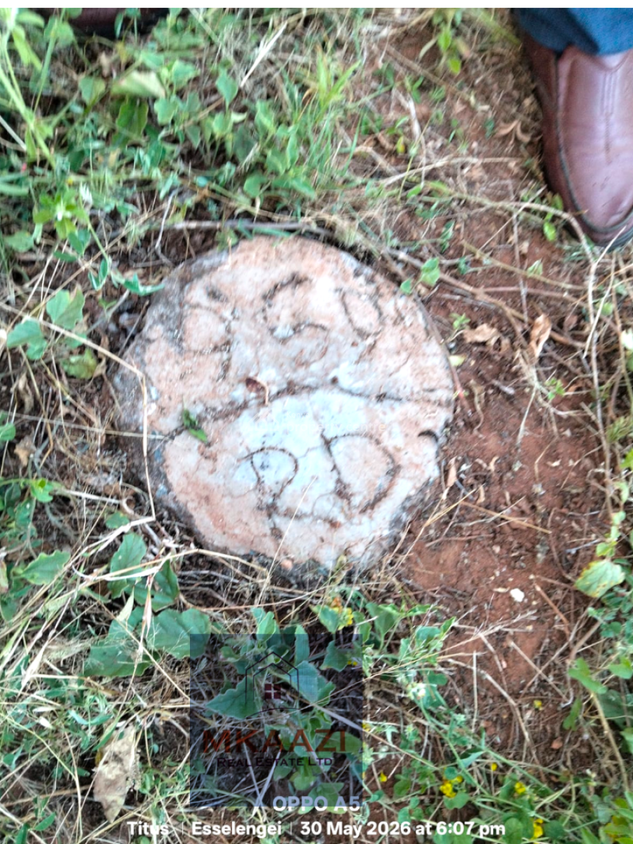 42-acres Freehold Land in Eselenkei, Kajiado South, Eselenkei, Mbirikani/eselenkei, Kajiado, Land for Sale