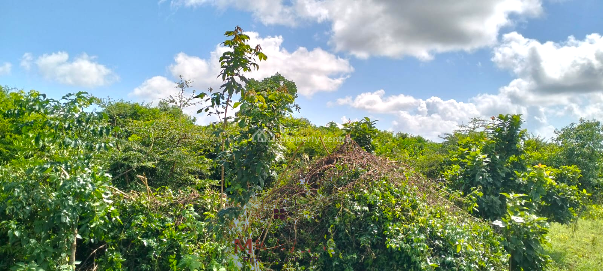 Scenic 8.5-acre Land  in Kakuyuni, Malindi, Kakuyuni, Malindi Town, Kilifi, Land for Sale