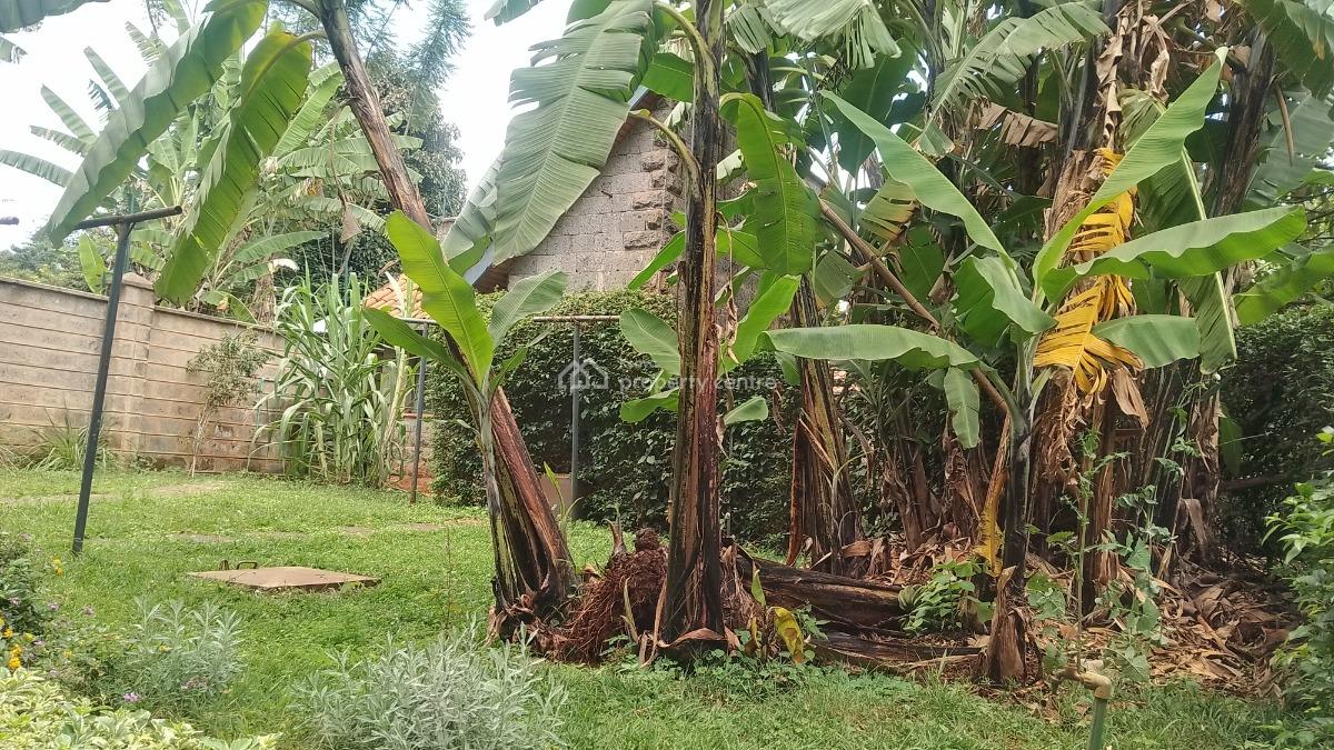 5 Bedroom Villa with Dsq, Lavington, Nairobi, House for Rent