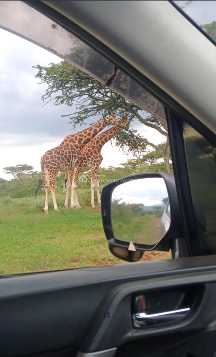 Exceptional 2,964-acre Prime Ranch Land in Naivasha, Naivasha, Naivasha East, Nakuru, Land for Sale
