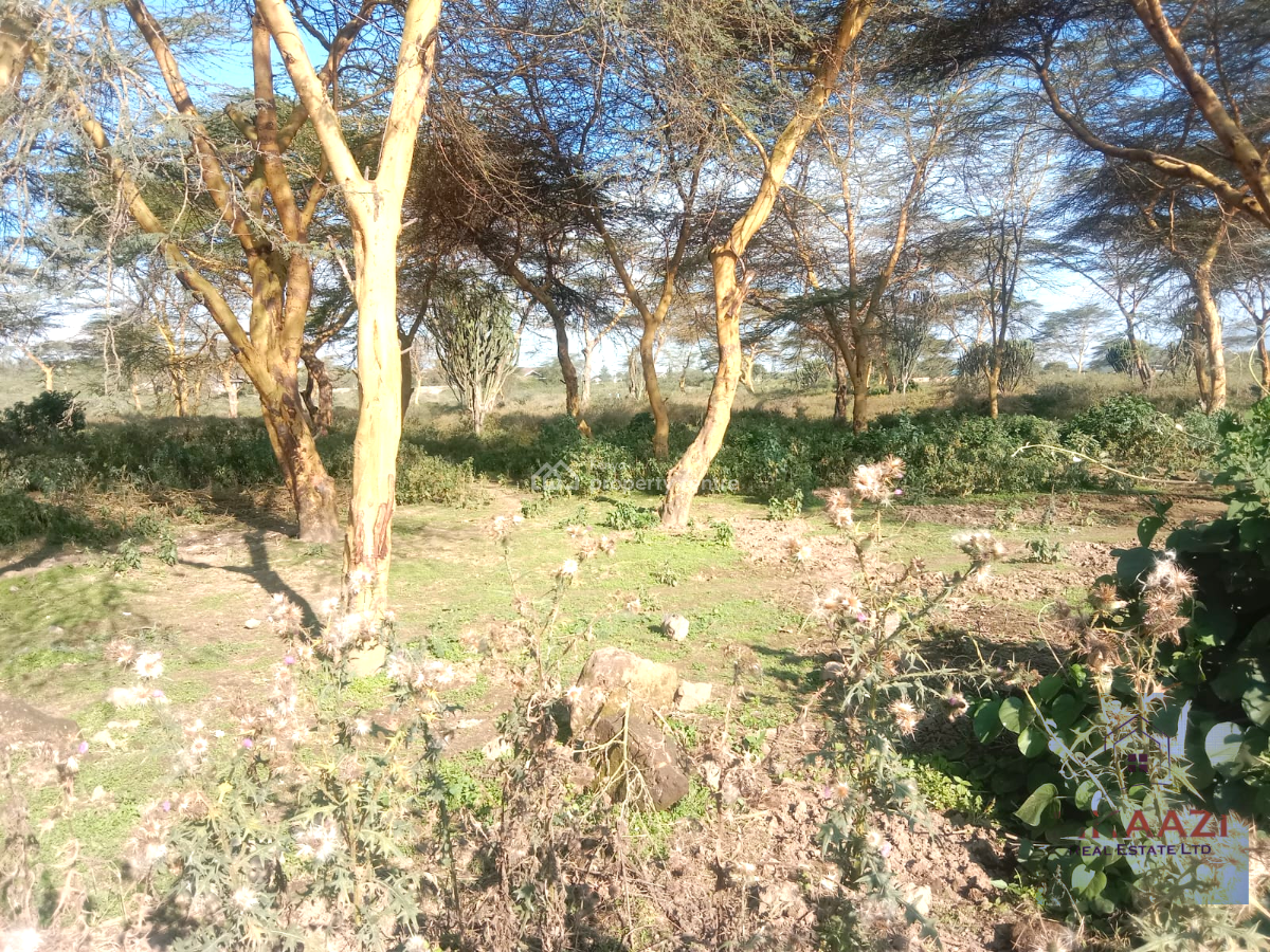 Prime 25-acres Highway Frontage Land in Naivasha, Moi South Rd, Moi South Rd, Naivasha East, Nakuru, Land for Sale
