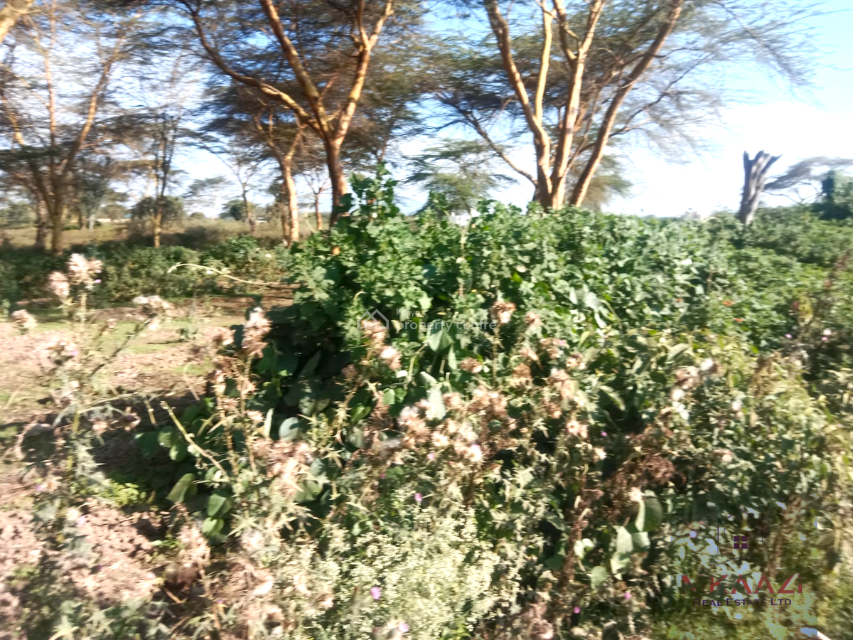 Prime 25-acres Highway Frontage Land in Naivasha, Moi South Rd, Moi South Rd, Naivasha East, Nakuru, Land for Sale