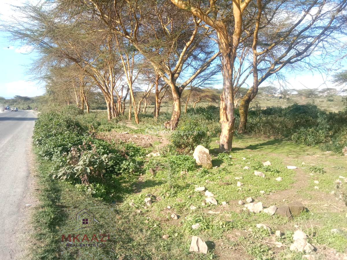 Prime 25-acres Highway Frontage Land in Naivasha, Moi South Rd, Moi South Rd, Naivasha East, Nakuru, Land for Sale