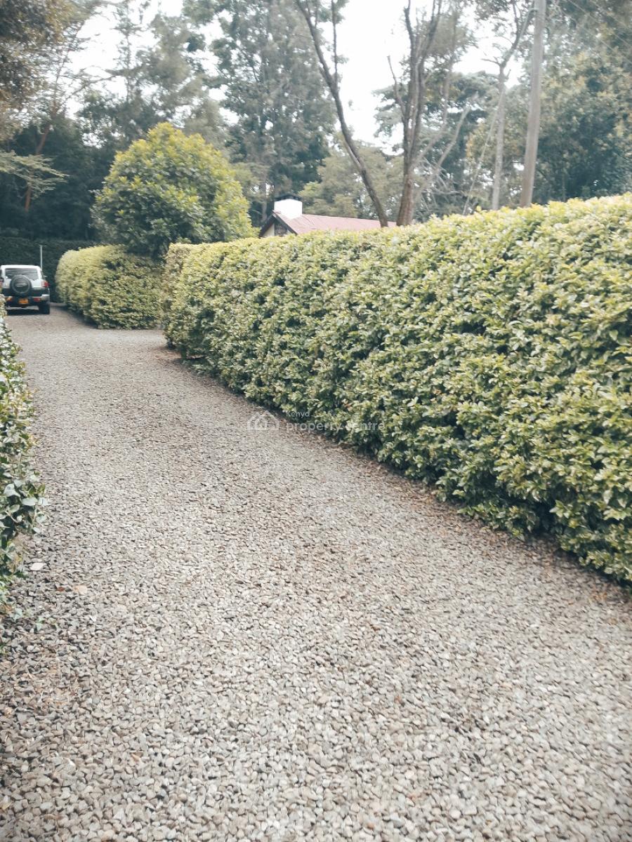 3 Bedroom Bungalow, Karen, Karen, Nairobi, Detached Bungalow for Rent