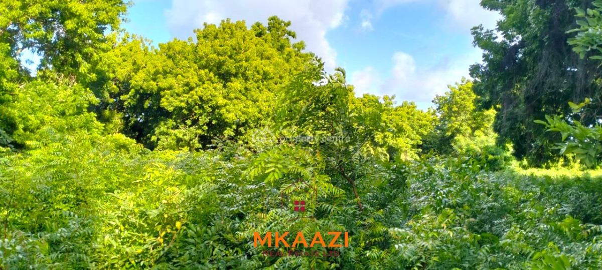 Prime Eighth Acre Plots in Casuarina -- Malindi, Casuarina, Malindi Town, Kilifi, Land for Sale