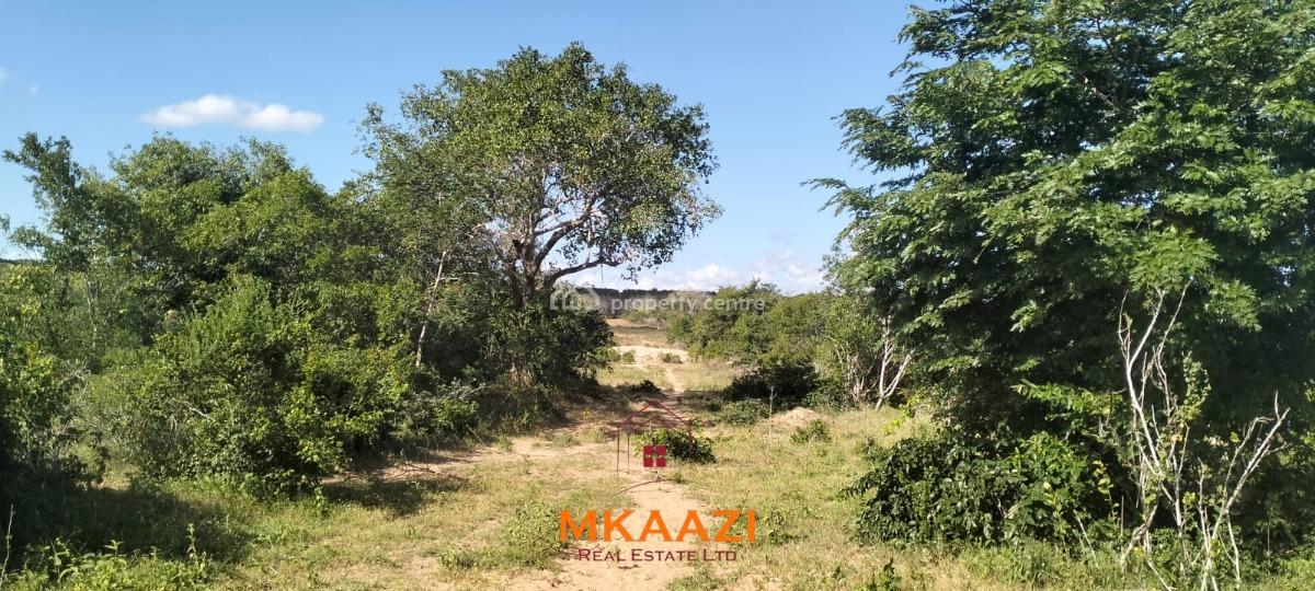 Exceptional 103-acre Freehold Parcel in Dakacha, Malindi, Dakacha, Malindi Town, Kilifi, Mixed-use Land for Sale