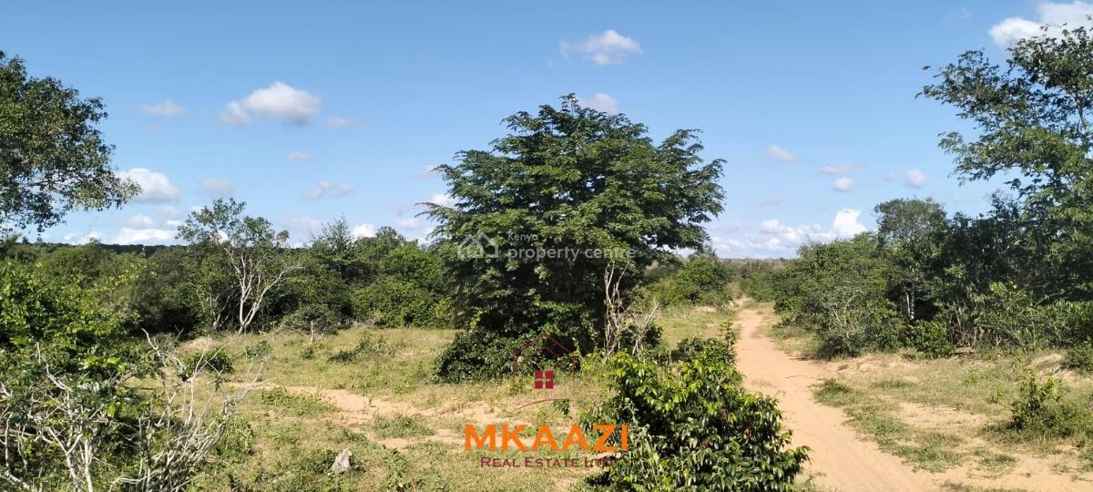Exceptional 103-acre Freehold Parcel in Dakacha, Malindi, Dakacha, Malindi Town, Kilifi, Mixed-use Land for Sale