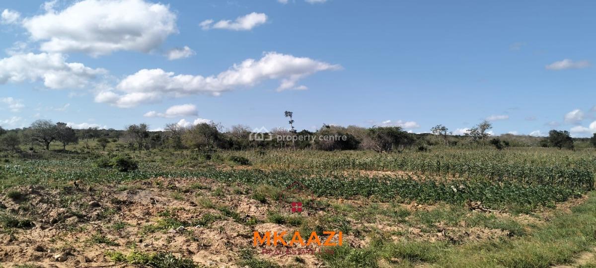 Exceptional 103-acre Freehold Parcel in Dakacha, Malindi, Dakacha, Malindi Town, Kilifi, Mixed-use Land for Sale