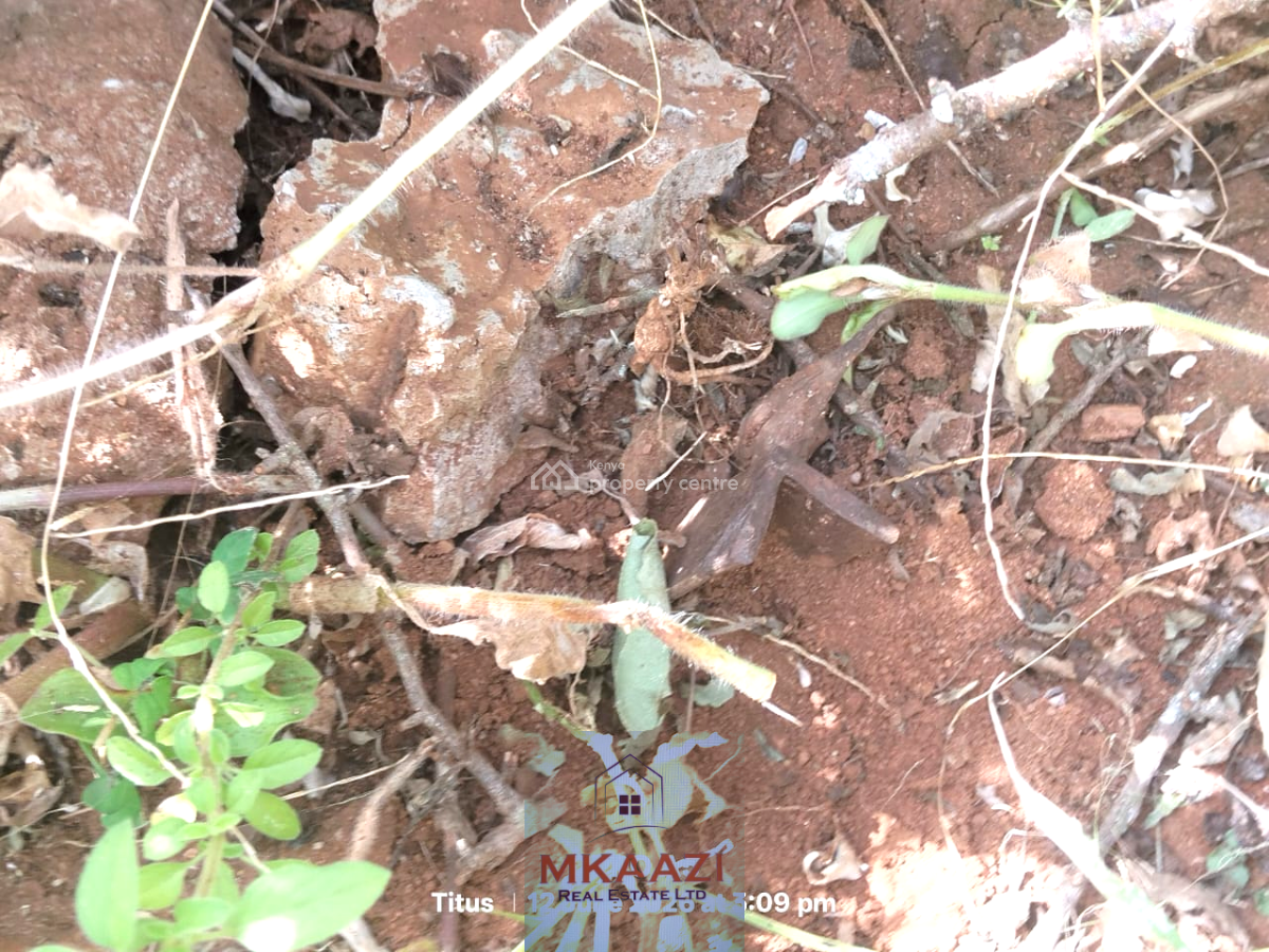 Prime 20-acre Agricultural Land in Emotoroki, Kajiado, Emotoroki, Kenyawa-poka, Kajiado, Land for Sale