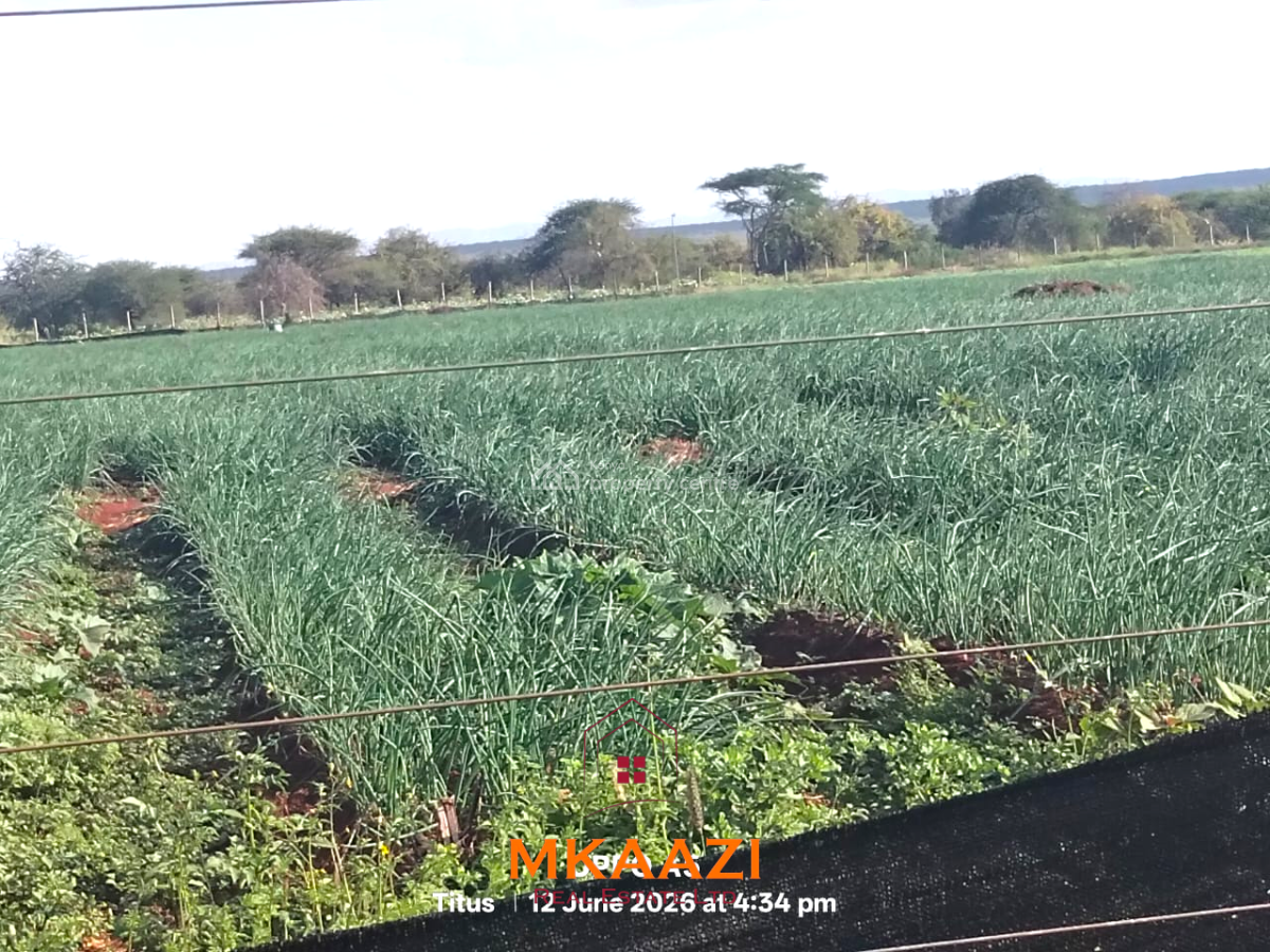 Prime 7-acre Freehold Agricultural Land in Megumi, Kajiado, Megumi Ololepo, Kaputiei North, Kajiado, Land for Sale