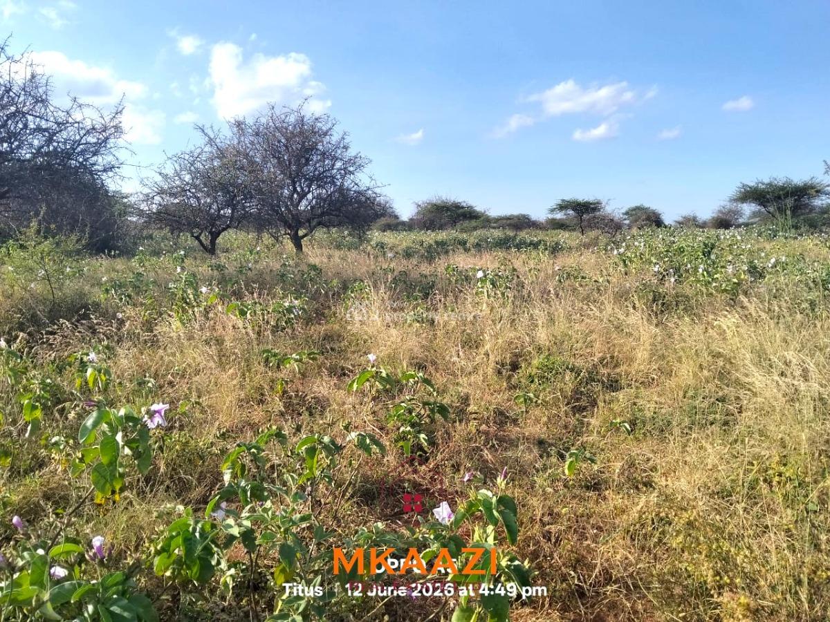 Prime 7-acre Freehold Agricultural Land in Megumi, Kajiado, Megumi Ololepo, Kaputiei North, Kajiado, Land for Sale