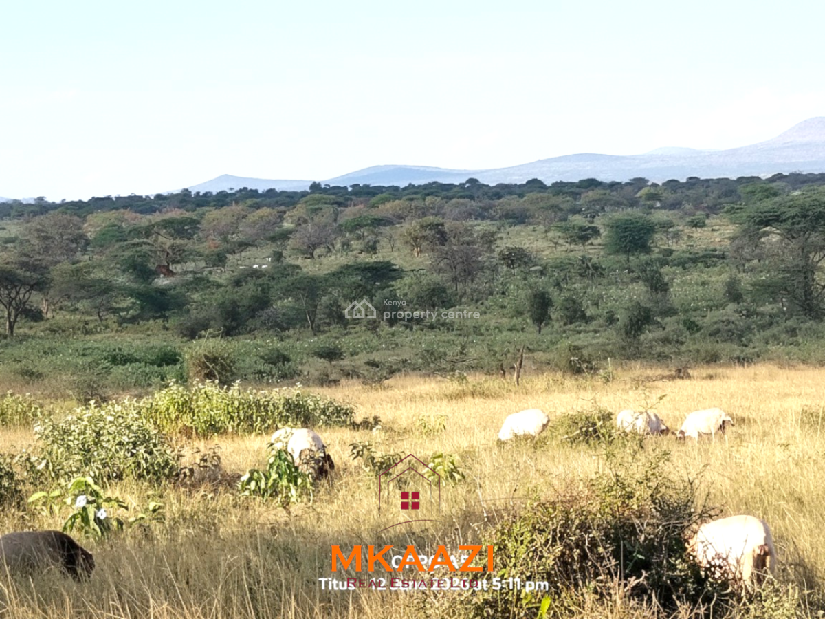 Prime 7-acre Freehold Agricultural Land in Megumi, Kajiado, Megumi Ololepo, Kaputiei North, Kajiado, Land for Sale