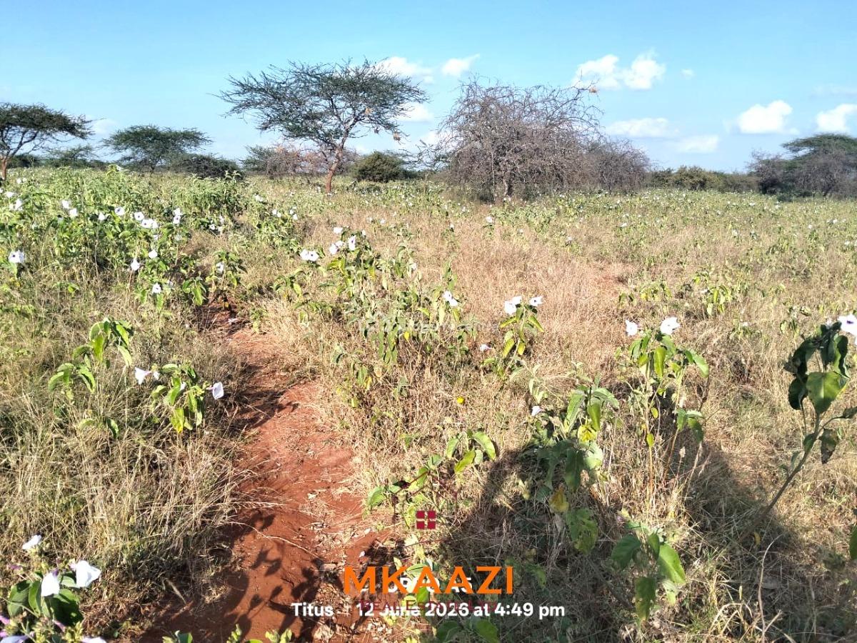 Prime 7-acre Freehold Agricultural Land in Megumi, Kajiado, Megumi Ololepo, Kaputiei North, Kajiado, Land for Sale