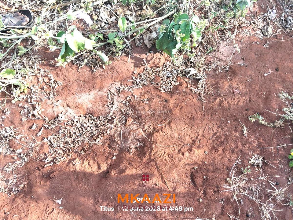 Prime 7-acre Freehold Agricultural Land in Megumi, Kajiado, Megumi Ololepo, Kaputiei North, Kajiado, Land for Sale