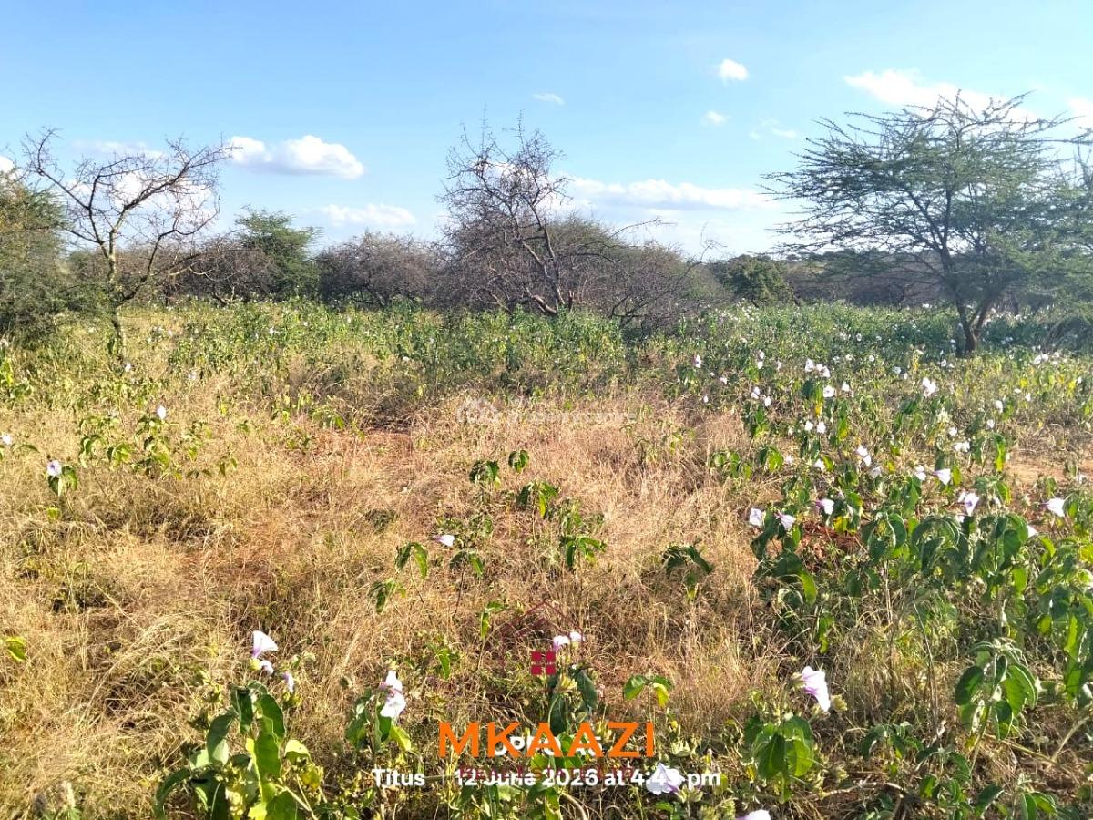 Prime 7-acre Freehold Agricultural Land in Megumi, Kajiado, Megumi Ololepo, Kaputiei North, Kajiado, Land for Sale
