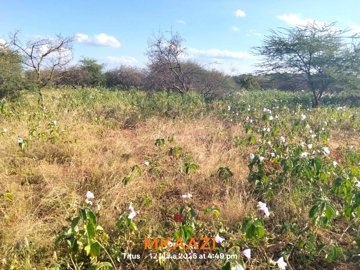 Prime 7-acre Freehold Agricultural Land in Megumi, Kajiado, Megumi Ololepo, Kaputiei North, Kajiado, Land for Sale