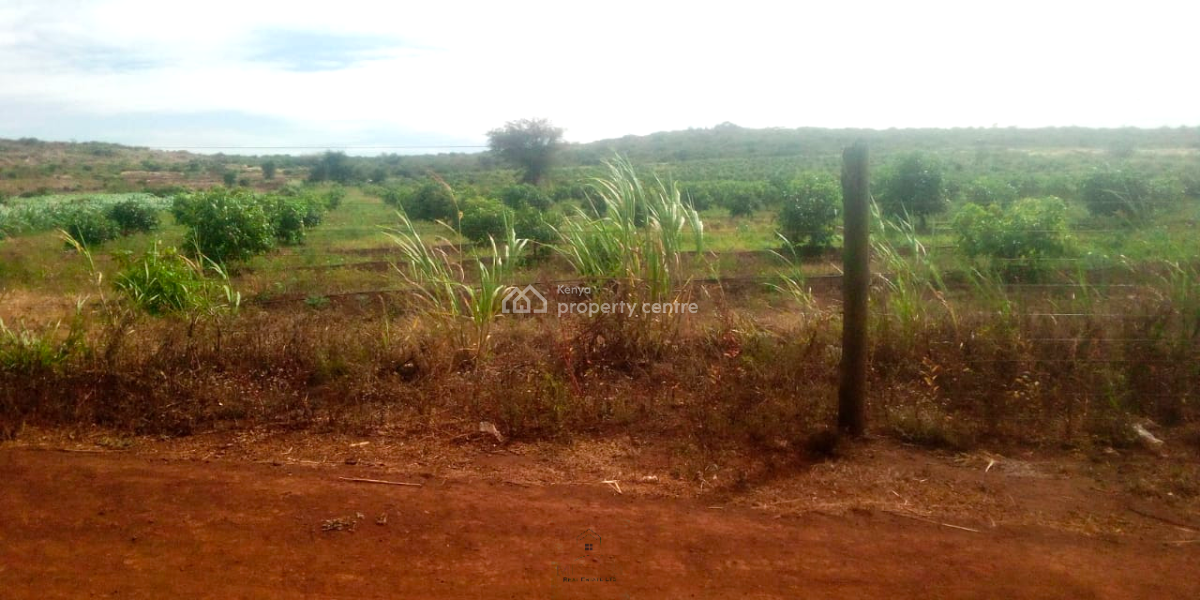 Prime 393-acre Agricultural & Investment Estate in Loitokitok, Rombo, Rombo, Kajiado, Land for Sale