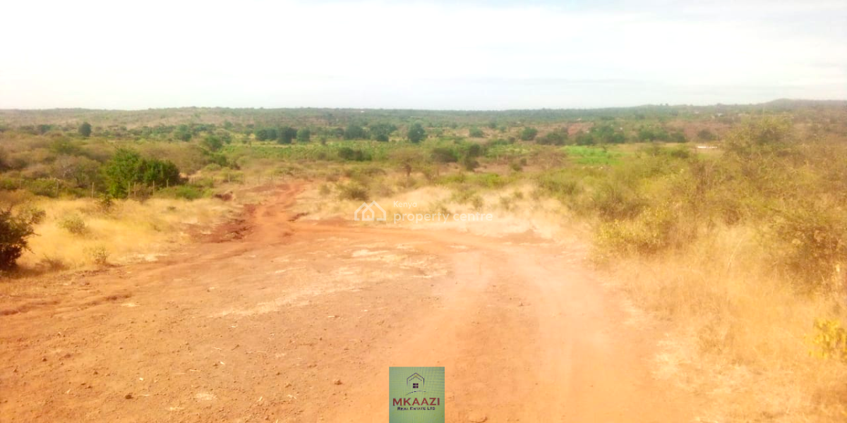 Prime 393-acre Agricultural & Investment Estate in Loitokitok, Rombo, Rombo, Kajiado, Land for Sale