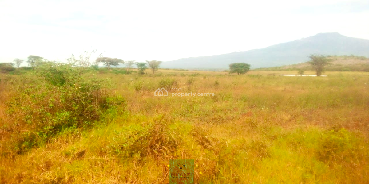 Prime 393-acre Agricultural & Investment Estate in Loitokitok, Rombo, Rombo, Kajiado, Land for Sale