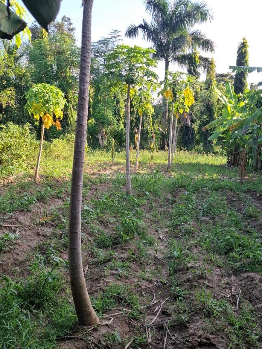 Residential Plot--(100x100)., Kwetu Resort, Mtwapa, Kilifi, Land for Sale