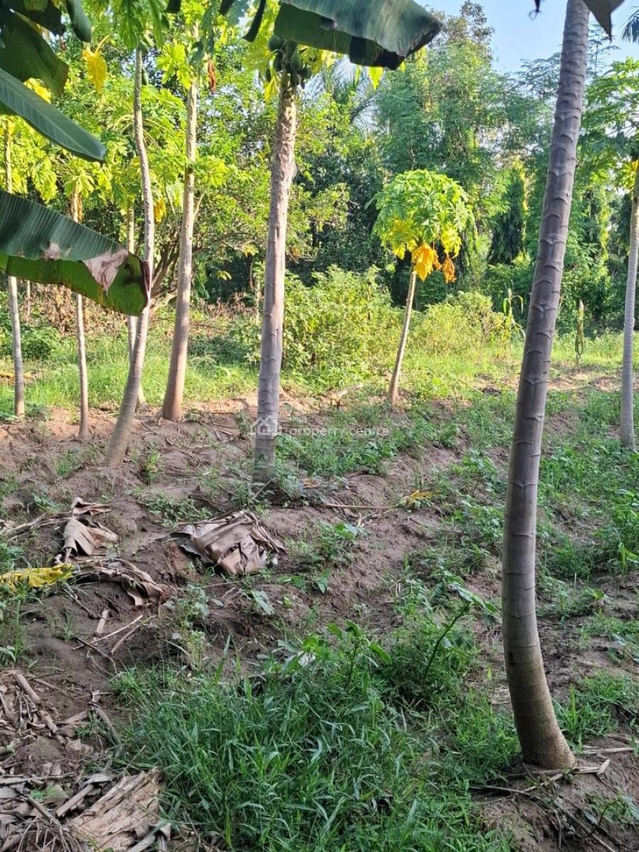 Residential Plot--(100x100)., Kwetu Resort, Mtwapa, Kilifi, Land for Sale