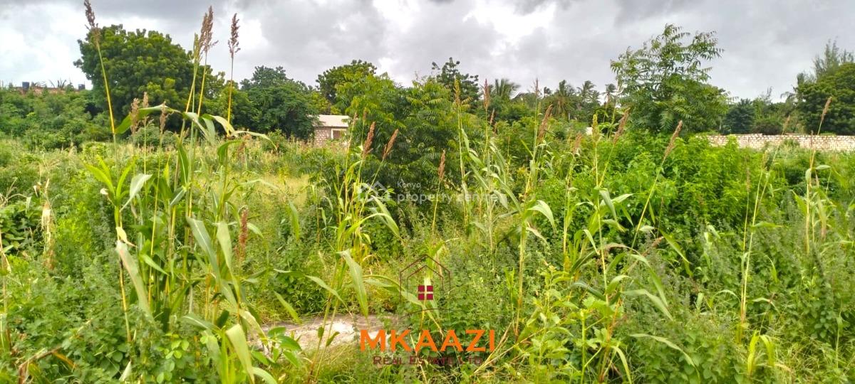 Prime 40×80 Plot, Cycad Road, Malindi Town, Kilifi, Land for Sale