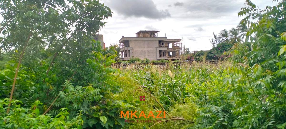 Prime 40×80 Plot, Cycad Road, Malindi Town, Kilifi, Land for Sale