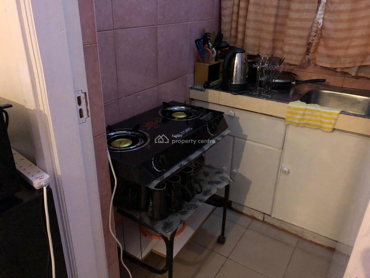 Studio Fully Furnished Apartment, School Lane, Westlands, Nairobi, Apartment for Rent