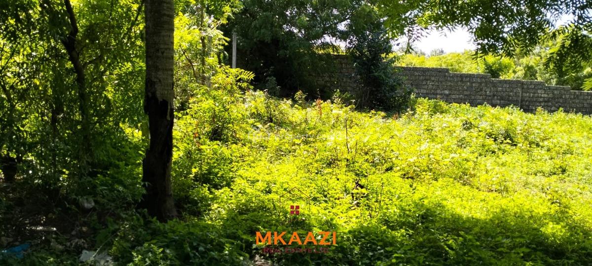 Prime Half-acre Freehold Plot Near Mida Creek, Watamu, Turtle Bay Road, Watamu, Kilifi, Land for Sale
