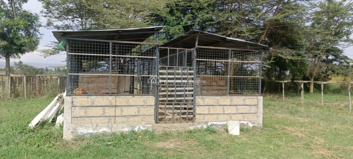 4  Bedroom All Ensuite House Naivasha  Spacious Bedrooms,loun, Moi South Lake Rd, Naivasha East, Nakuru, Townhouse for Sale