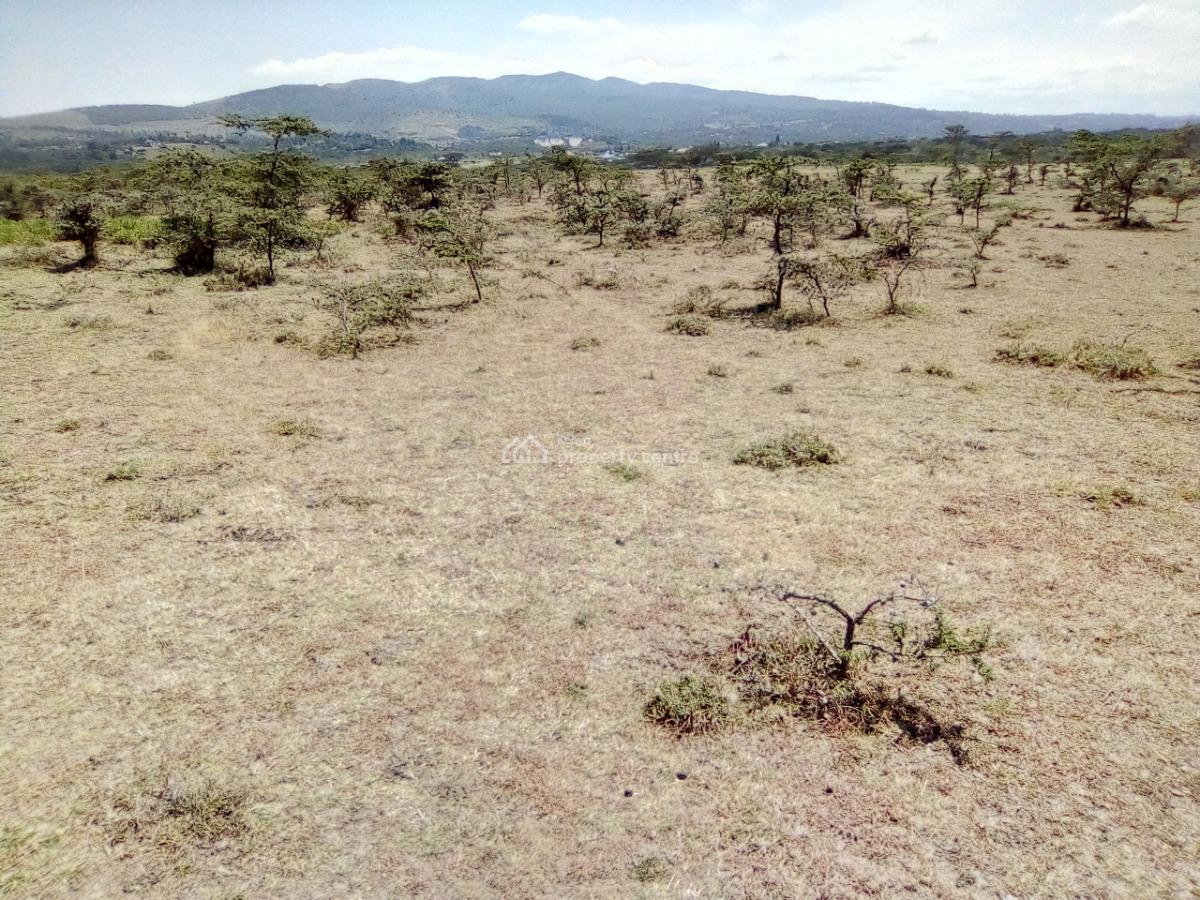 Prime 1/4 Acre Plots., Kiserian, Narumoru, Ongata Rongai, Kajiado, Land for Sale