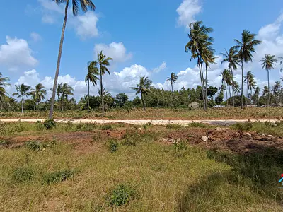 Land