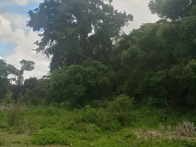 2.2 Acres