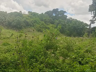 35 Acres