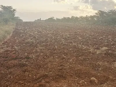 Nanyuki 2 Acres Prime Land