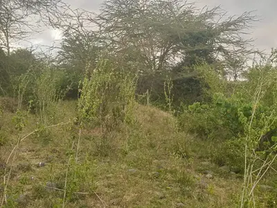 9 &10 Acres Land