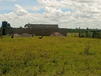 Land