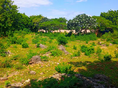 Residential Serviced Plots