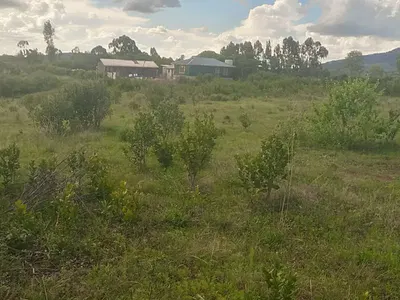 Land