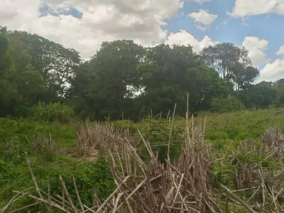 Land
